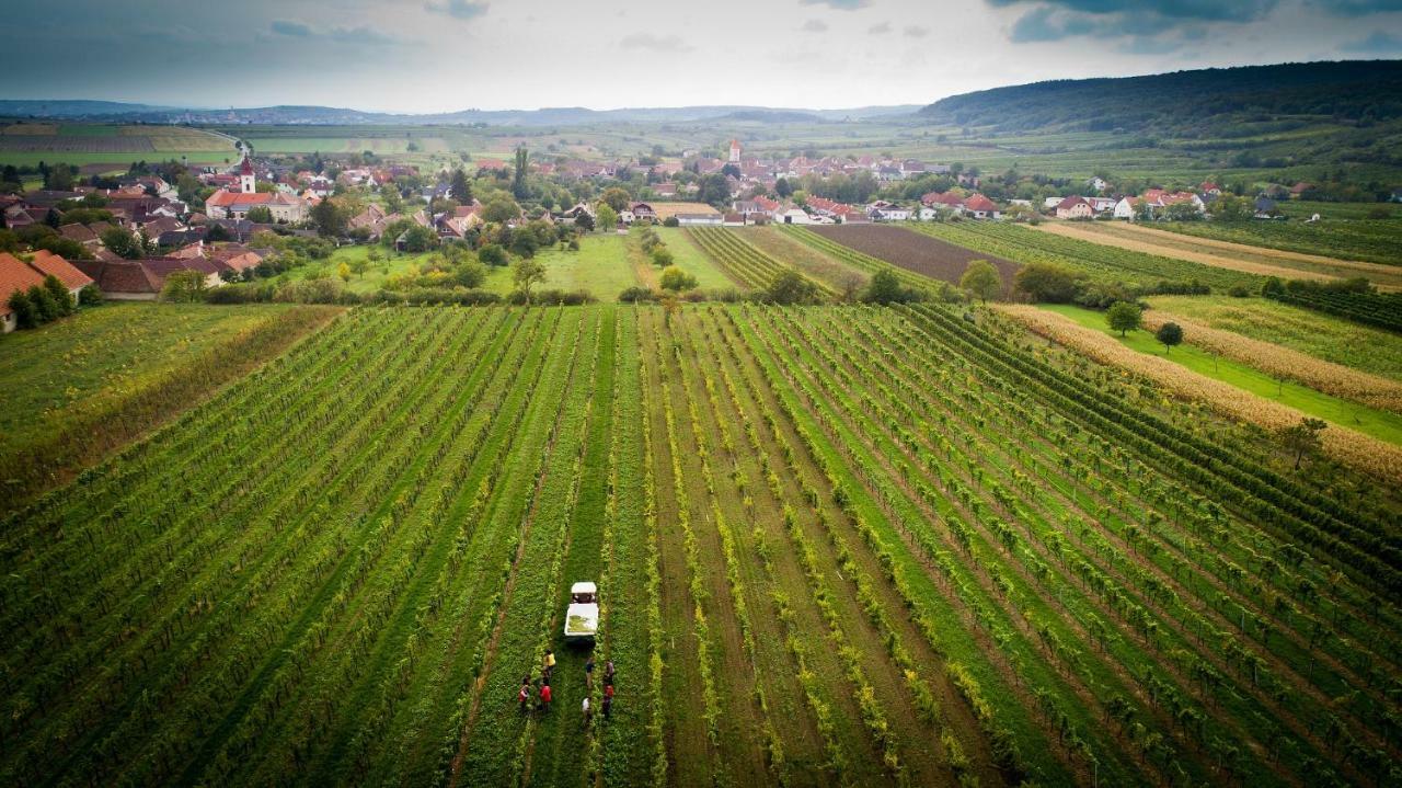 Weingut Familie Krell 호텔 Mitterretzbach 외부 사진